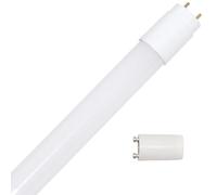 NCC-Licht Bombilla LED T8, tubo de 45 cm, 8 W, G13, 800 lm, 830, blanco cálido, 3000 K, incluye arrancador