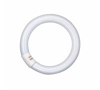 NCC-Licht Lámpara fluorescente, forma de anillo, T9 L, 40 W/827 G10q, blanco cálido, 2700 K