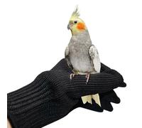 NCONCO 1 par de guantes antimordeduras para loros, guantes de entrenamiento para pájaros, guantes de alambre para manejo de animales pequeños y guantes protectores de alambre de acero (negro)