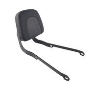 NCTPICLC Portaequipajes Trasero Respaldo Asiento Trasero Pasajero, Soporte Barra Sissy con Cojín para Royal para Enfield para Guerrilla 450 2024 2025