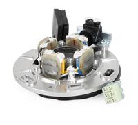 NCXKZLH Bobina Magneto Stator Generador de estator magnético Motocicleta para YA&MAHA YZ250 YZ 250 YZ250X 1999-2022 5CU-85560-20 Bobinas Estator Magneto