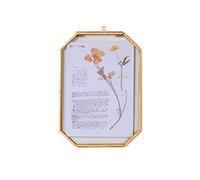 NCYP Dorado Marco de cristal para colgar en forma de octogonal de latón, 12,7x17,8cm, para plantas de flores secas prensadas, diseño de plantas de herbario (Solo Marco de Vidrio)