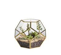 NCYP Terrario de Cristal Dorado para Plantas suculentas y de Aire, Moderno macetero geométrico pentágono para jardín en Miniatura, decoración de latón para el hogar, la Oficina (Sin Plantas)
