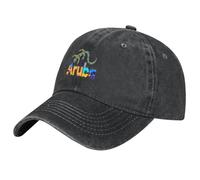NDBQEYIFV Aruba - One Happy Island - Lizard Paradise Gorra de béisbol Ropa de Golf Gorra de Golf Gorra de papá Hombre Femenino