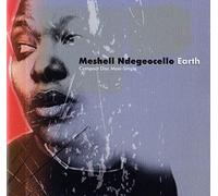 Ndegeocello, Me'Shell - Earth