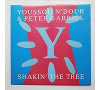 N'Dour, Youssou & Peter Gabriel Shakin' The Tree 7" Virgin VS1167 EX/EX 1989 picture sleeve