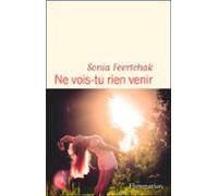 Ne Vois-tu Rien Venir (ebook)