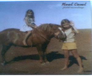 Neal Casal - Field Recordings By Neal Casal (1997-06-01)