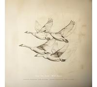 NEAR THE POND - WILD GEESE