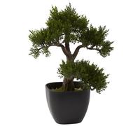 Nearly Natural 4966 Árbol Artificial de Cedro Bonsái, 38,8 cm, Verde