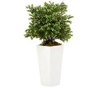 NearlyNatural Casi Natural Sweet Hierba en Forma de Torre (Interior/Exterior), Color Verde