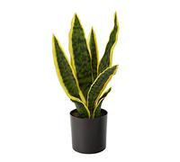 NearlyNatural Planta Artificial Sansevieria de 14 Pulgadas