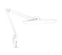 Neatfi XL Lámpara de Escritorio LED de 24W y 2200 Lúmenes con Abrazadera - Iluminación de Trabajo Sin Sombras | 4 Niveles de Regulación | Cabezal Ancho de 50 cm (Blanco, No-CCT con Abrazadera)