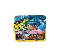 Neavita Twice - Mini Tin con Infuso Mango e Ibisco a Freddo, 3 Maxifiltro