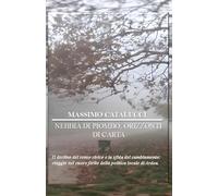 NEBBIA DI PIOMBO. ORIZZONTI DI CARTA.: Il declino del senso civico e la sfida del cambiamento: viaggio nel cuore ferito della politica locale di Ardea.