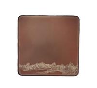 NEBE Bandeja Cafetería Bandeja de té Color Cobre, Bandeja Qianli Jiangshan, seco Nogal for una Persona, Mesa pequeña, Comedor Bandejas Servir(B,M)