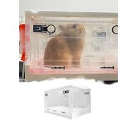 Nebulizador para Mascotas Nido Nido de Atomización Espacioso para Conejos, Caja de Crianza para Cachorros y Gatitos con Orificios de Aire y Tubo, Maletín Médico Respiratorio(S)