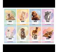 Nebulo: Cuaderno rayado con estampado de animales, 3.er grado, 12-32, A5 - variedades disponibles.