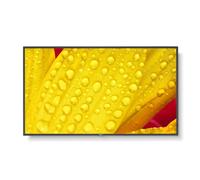 NEC MultiSync M551-2 55" Display