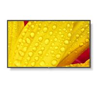NEC MultiSync ME651 65" Display