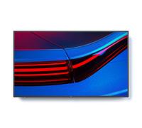 NEC MultiSync P495 49" Display