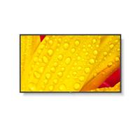 Nec NEC MULTISYNC M551 55