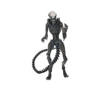 NECA Ultimate scorched Xenomorph Scale Action Fig. 23 cm Alien: Romulus