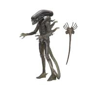 NECA Figura The Alien 40th Anniversary Serie 4 Alien 18cm