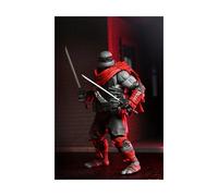 Leonardo Nightwatcher. Teenage Mutant Ninja Turtles: The Last Ronin - Lost Years