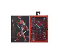 Leonardo Nightwatcher. Teenage Mutant Ninja Turtles: The Last Ronin - Lost Years