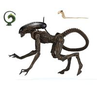NECA Ultimate Dog Alien 7 - Figura de acción con Escala