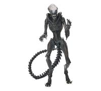 NECA Ultimate scorched Xenomorph Scale Action Fig. 23 cm Alien: Romulus