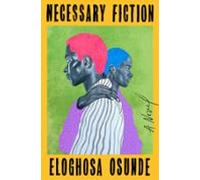 Necessary Fiction (ebook)