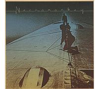 Necromonkey - (Black) a Glimpse of Possible Endings [VINYL] [Vinilo]
