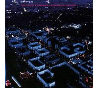 Ned Collette & Wirewalker - Networking In Purgatory [Vinilo]