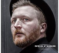 NED FERM - Spent All the Money - Ned Ferm