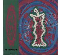 Ned's Atomic Dustbin - Intact [Vinyl Single]