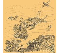 Needlepoint - The Diary Of Robert Reverie (LP) [Vinilo]