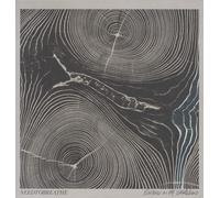 NEEDTOBREATHE Rivers in the Wasteland (Vinyl) (Importación USA)