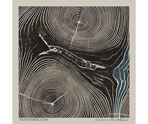 Needtobreathe - Rivers In The Wasteland Vinyl LP