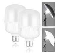 NEEWER E27 24W Bombillas LED, 2 Paquetes, 2300 Lúmenes/5700K/CRI 93+/15000h Vida Útil, para Fotografía, Silencioso/Sin Parpadeo/No Regulable Equivalente Incandescente de 200W, Certificado CE y UKCA