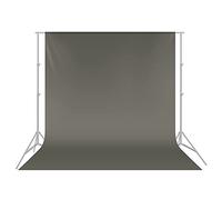 NEEWER Estudio Fotográfico Poliéster de Fondo para Fondo Plegable para Fotografía, Vídeo y Haya (10 x 365,76 cm/3 x 3,6 m), Color Gris