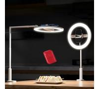 NEEWER Versión de Nivel de Entrada: 10 Pulgadas, 7 W, luz LED para Selfie, con Abrazadera de Escritorio, Soporte para teléfono, para iPhone, Laptop, videoconferencia, grabación, iluminación de