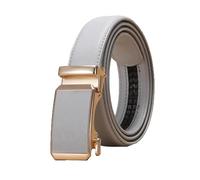 NEFLUM Cinturón de cuero para mujer/hombre, cinturones con hebilla automática ajustables informales, cinturón decorativo colorido de 3,0cm de ancho, Gris, 125x3cm