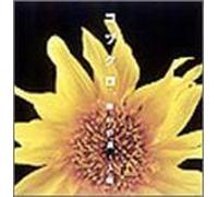 #obukuro - Negai No Uta/Taiyou