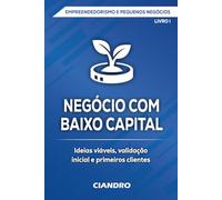 NEGÓCIO COM BAIXO CAPITAL: Ideias viáveis, validação inicial e primeiros clientes (EMPREENDEDORISMO E PEQUENOS NEGÓCIOS)
