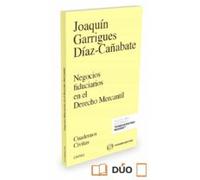 Negocios Fiduciarios En El Derecho Mercantil