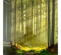 Negro Forest Alemán Tierra Del Fuego de la Familia Mesa Estrategia Expertos