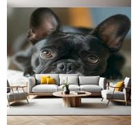 Negro Fotomurales Tejido no Tejido Animal Bulldog Papel Pintado Decor de Pared Murales Póster Efecto 3D Papel Tapiz Moderno para Dormitorio Salón TV Pared 300 x 210 cm