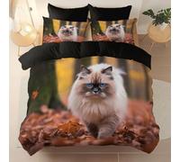 Negro Funda nordica 240 x 260 cm, Suave Resistente Microfibra cepillada Juego de Cama, Fotografía De Animales Gato Paseando Tema Funda de edredón Adecuado para niños y niñascon Cremallera